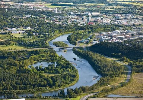 orkin red deer|Orkin Canada in Red Deer, AB 